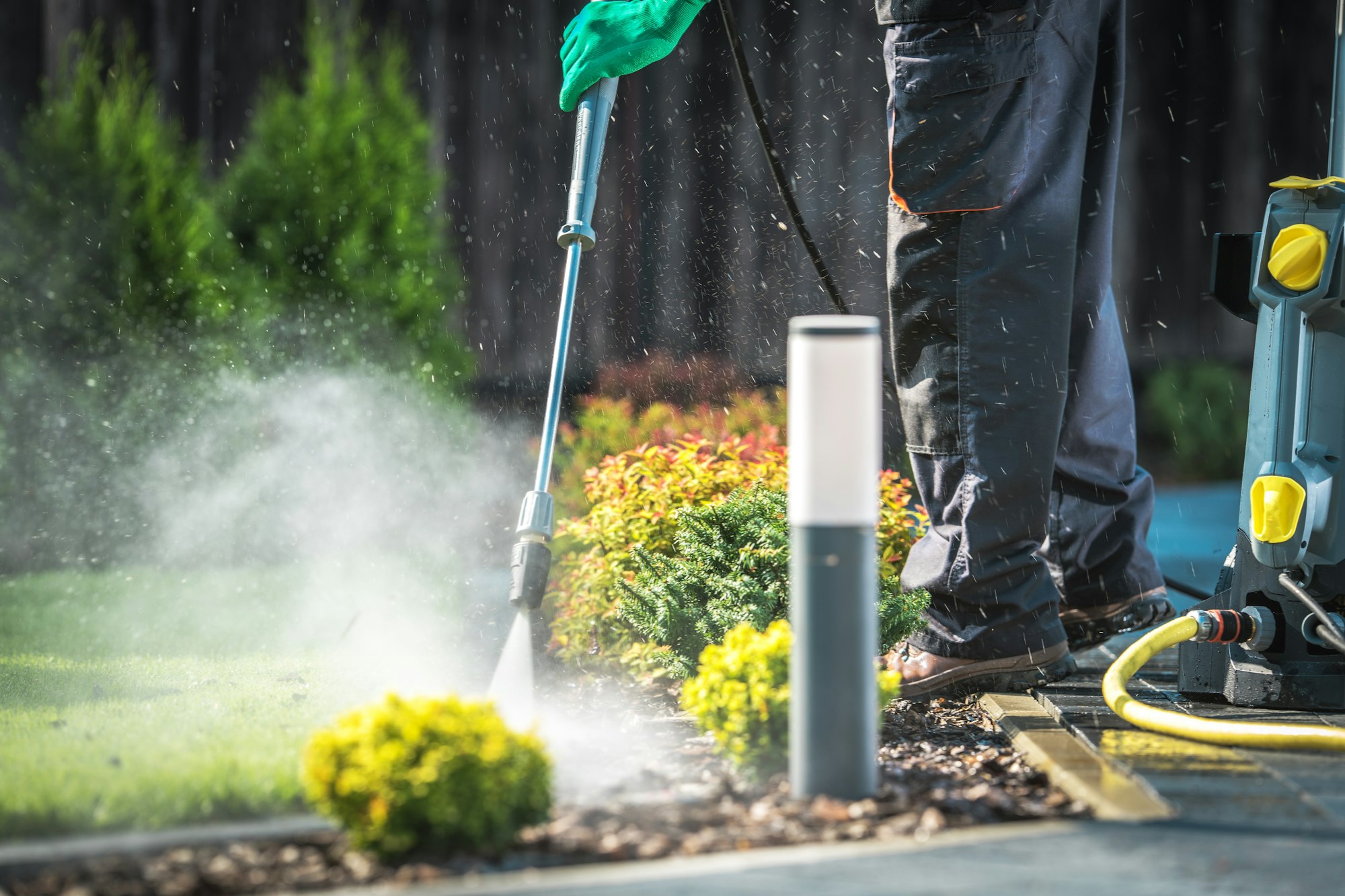 Backyard Garden Cleaning